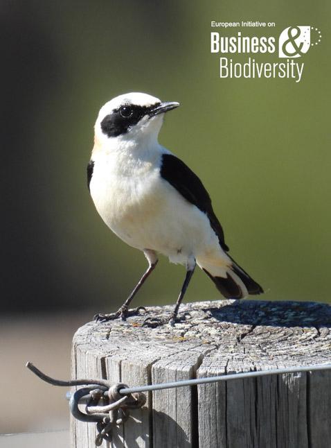 Biodiversidade